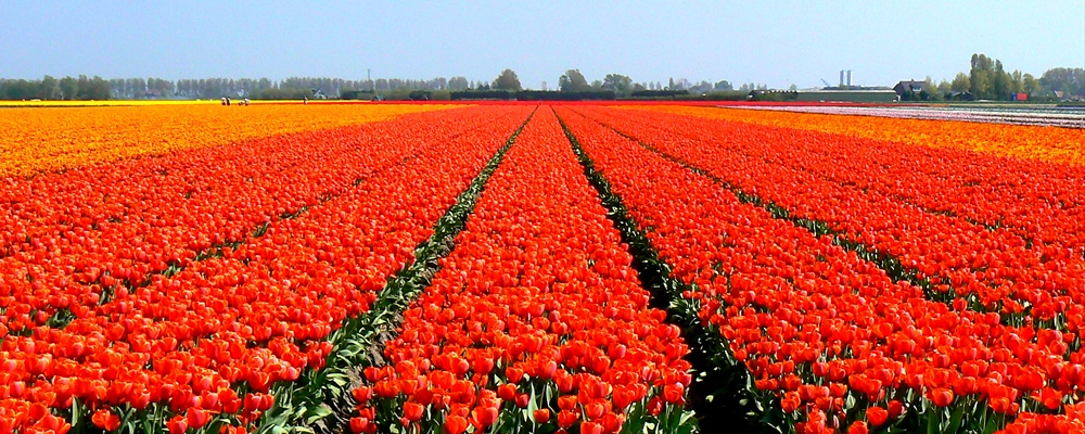 langs de A9 bij Alkmaar, The Netherlands